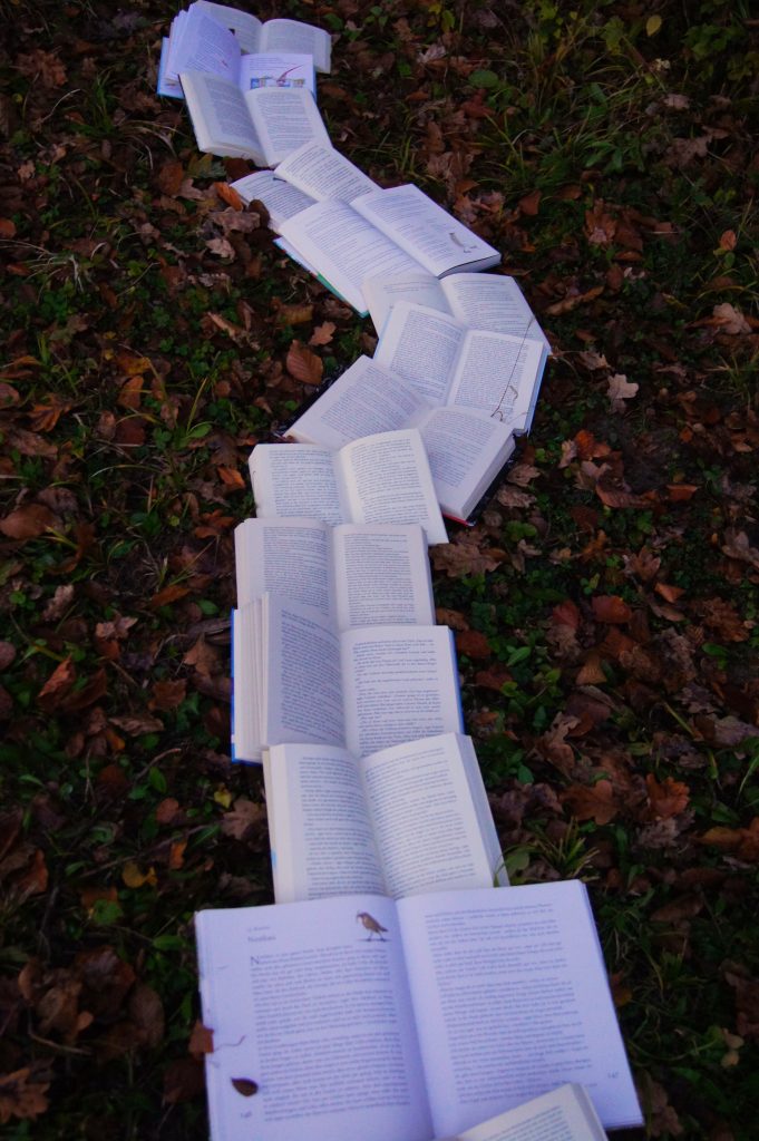 short fiction versus long: serpentine row of open books on the ground